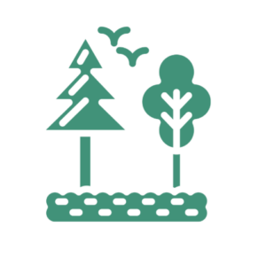 Les enjeux des espèces exotiques envahissantes (EEE) - Stéphane Woynaroski